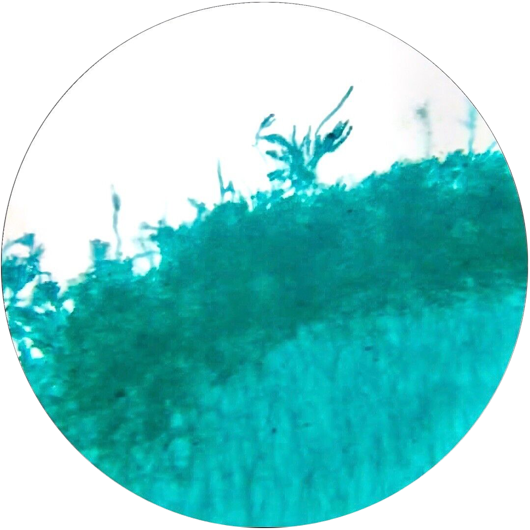 站点头像